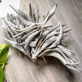 AAA頂級白鼠尾草葉片